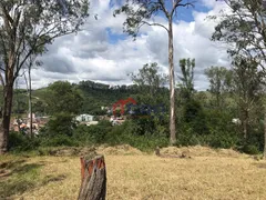Terreno / Lote / Condomínio à venda, 1150m² no Colônia Santo Antônio, Barra Mansa - Foto 4