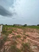 Fazenda / Sítio / Chácara com 3 Quartos à venda, 120m² no , Amaporã - Foto 5