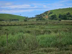 Fazenda / Sítio / Chácara com 2 Quartos à venda, 5000m² no Jucu, Viana - Foto 2