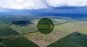 Fazenda / Sítio / Chácara à venda, 273210000m² no Zona Rural, João Pinheiro - Foto 11