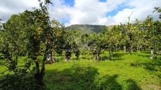 Fazenda / Sítio / Chácara com 1 Quarto à venda, 6874m² no Serra Do Mato Grosso, Saquarema - Foto 5