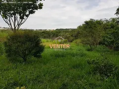 Fazenda / Sítio / Chácara com 3 Quartos para venda ou aluguel, 230m² no Catagua, Taubaté - Foto 41