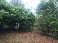 Fazenda / Sítio / Chácara com 3 Quartos à venda, 120m² no Zona Rural, Pirenópolis - Foto 20