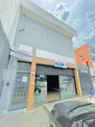 Loja / Salão / Ponto Comercial para alugar, 250m² no Vila Mascote, São Paulo - Foto 29