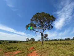 Fazenda / Sítio / Chácara com 1 Quarto à venda, 123m² no Zona Rural, Felixlândia - Foto 19