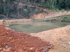 Fazenda / Sítio / Chácara à venda, 24000m² no Zona Rural, Mandirituba - Foto 7