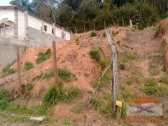 Terreno / Lote / Condomínio à venda, 250m² no Nhambuca Caucaia do Alto, Cotia - Foto 1