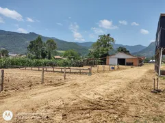 Fazenda / Sítio / Chácara com 2 Quartos à venda, 25000m² no Centro, Canelinha - Foto 11