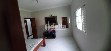 Fazenda / Sítio / Chácara com 3 Quartos à venda, 300m² no Panorama, Uberlândia - Foto 13