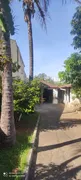 Terreno / Lote / Condomínio à venda, 430m² no Jardim América, Goiânia - Foto 6