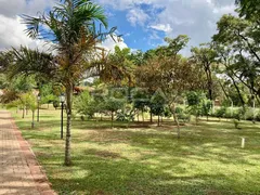Fazenda / Sítio / Chácara com 3 Quartos à venda, 699m² no Tibaia de São Fernando, São Carlos - Foto 2