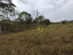 Fazenda / Sítio / Chácara à venda, 4598000m² no Zona Rural, Bom Jardim de Goiás - Foto 9