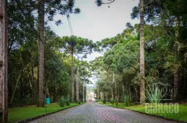 Terreno / Lote / Condomínio à venda, 3003m² no Jardim Primavera, Piraquara - Foto 20