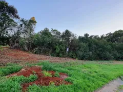 Terreno / Lote / Condomínio à venda, 32000m² no Centro, Campo Magro - Foto 2