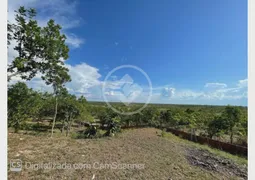 Fazenda / Sítio / Chácara com 4 Quartos à venda, 2m² no Coxipó da Ponte, Cuiabá - Foto 9