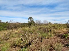 Fazenda / Sítio / Chácara com 5 Quartos à venda, 5000m² no BOSQUE, Vinhedo - Foto 10