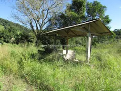 Fazenda / Sítio / Chácara com 2 Quartos à venda, 45000m² no Maraporã, Cachoeiras de Macacu - Foto 16