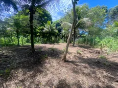 Terreno / Lote / Condomínio à venda, 170m² no Guaratiba, Rio de Janeiro - Foto 2