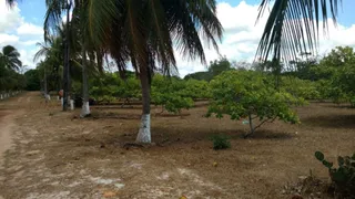 Fazenda / Sítio / Chácara com 4 Quartos à venda, 250m² no Taíba, São Gonçalo do Amarante - Foto 9