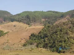 Fazenda / Sítio / Chácara à venda, 1390000m² no Taruacu, São João Nepomuceno - Foto 28