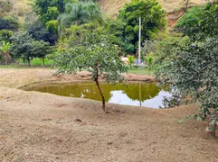 Fazenda / Sítio / Chácara com 3 Quartos à venda, 50000m² no Retiro, Volta Redonda - Foto 40