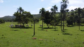 Fazenda / Sítio / Chácara à venda no Zona Rural, Bom Jardim de Goiás - Foto 10