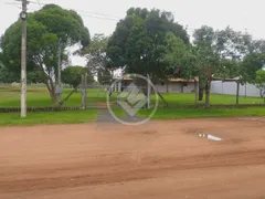 Fazenda / Sítio / Chácara com 3 Quartos à venda, 300m² no Panorama, Uberlândia - Foto 11