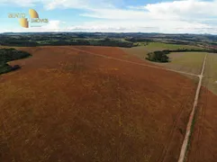 Fazenda / Sítio / Chácara à venda, 52000000m² no Zona Rural, Brasnorte - Foto 5