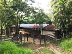 Fazenda / Sítio / Chácara com 4 Quartos à venda, 470000m² no Zona Rural, Florestal - Foto 23