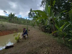 Fazenda / Sítio / Chácara à venda, 6560m² no Timbe, Tijucas - Foto 9