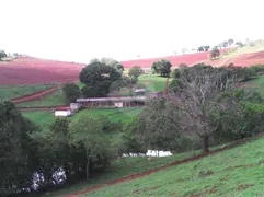 Fazenda / Sítio / Chácara com 1 Quarto à venda, 842160m² no Centro, Turvolândia - Foto 1