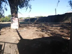 Terreno / Lote / Condomínio para alugar, 4400m² no Jardim Hikare, São Carlos - Foto 2