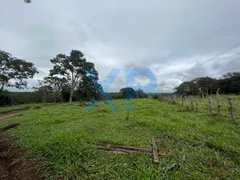 Fazenda / Sítio / Chácara com 3 Quartos à venda, 80m² no Zona Rural, São Sebastião do Oeste - Foto 8