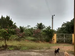 Fazenda / Sítio / Chácara com 2 Quartos à venda, 2500m² no Area Rural de Vitoria do Santo Antao, Vitória de Santo Antão - Foto 10