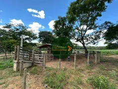 Fazenda / Sítio / Chácara à venda, 1171280m² no Zona Rural, Luziânia - Foto 4