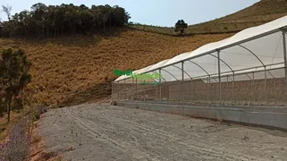 Fazenda / Sítio / Chácara à venda, 330000m² no Centro, Cristina - Foto 19