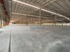 Galpão / Depósito / Armazém para alugar, 65093m² no Empresarial Paineira Jordanesia, Cajamar - Foto 1