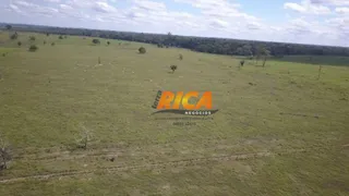 Fazenda / Sítio / Chácara à venda, 13060000m² no , Candeias do Jamari - Foto 8