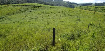 Fazenda / Sítio / Chácara com 2 Quartos à venda, 890000m² no Lagoinha, Tijucas do Sul - Foto 2