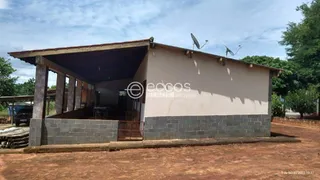 Fazenda / Sítio / Chácara com 5 Quartos à venda, 250m² no Area Rural de Araguari, Araguari - Foto 14