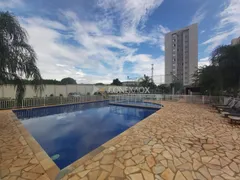 Apartamento com 2 Quartos à venda, 49m² no Jardim Maria Luiza, Sumaré - Foto 3