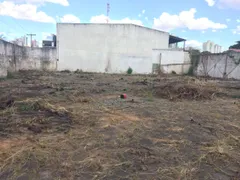 Terreno / Lote / Condomínio à venda, 1350m² no Setor Coimbra, Goiânia - Foto 1