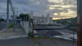 Terreno / Lote / Condomínio à venda, 2486m² no Santa Tereza, Porto Alegre - Foto 4