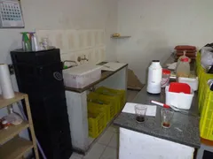 Casa com 4 Quartos à venda, 231m² no Tupi B, Belo Horizonte - Foto 16