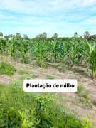 Fazenda / Sítio / Chácara com 3 Quartos à venda, 12000m² no Zona Rural, Lagoa de Pedras - Foto 14
