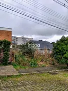 Terreno / Lote / Condomínio à venda, 528m² no Santa Rita, Bento Gonçalves - Foto 1