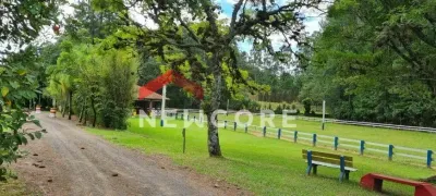 Fazenda / Sítio / Chácara com 1 Quarto à venda, 1000m² no Lomba Grande, Novo Hamburgo - Foto 8