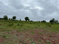 Fazenda / Sítio / Chácara com 5 Quartos à venda, 100m² no Zona Rural, Nossa Senhora do Livramento - Foto 6