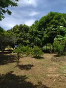 Fazenda / Sítio / Chácara com 3 Quartos à venda, 96m² no Rural, Porangaba - Foto 10