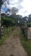 Fazenda / Sítio / Chácara com 3 Quartos à venda, 3000m² no Zona Rural, Campina Grande do Sul - Foto 3